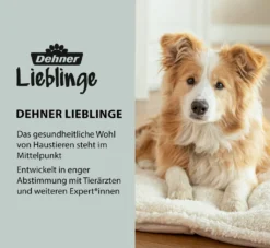 Dehner Lieblinge Wundversorgung Silberspray, Bei Verletzungen, Für Hunde Und Katzen, 200 Ml -Natur Garten Verkauf 113f9d367ebd6d442c69b2f508ad4016
