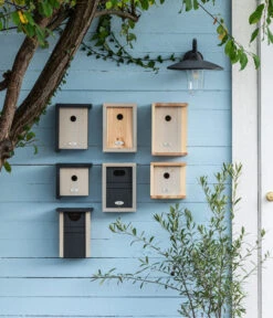 Dehner Natura Nistkasten Ceres, Ca. B19/H19/T15 Cm 7 Dehner Natura Nistkasten Ceres, Ca. B19/H19/T15 Cm -Natur Garten Verkauf 20221026 WE MO 001 DehnerNaturaNistkaestenPatkar 2