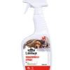 Dehner Lieblinge Ungezieferschutz Umgebungsspray, 500 Ml -Natur Garten Verkauf 2025708 WE FS 001 DehnerLieblingeUmgebungsspray500ml