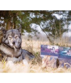 Dehner Wild Nature Hundesnack Lammohren, 200 G -Natur Garten Verkauf 3256484 3256195 WE M 001 DehnerNatureHirschlungenwuerfelundLammohren