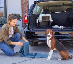 Dehner Lieblinge Transportbox Dino, Zufälliger Versand Der Farbkombination, 57 X 37 X 35 Cm, Kunststoff, Dunkelgrau/dunkelgrün -Natur Garten Verkauf 3471dc2ac0e76338b44db63acb8e5a53