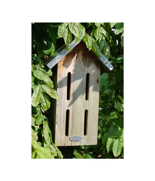 Dehner Natura Schmetterlingskasten 5 Dehner Natura Schmetterlingskasten – Bild 3