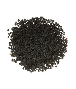 Dehner Natura Premium Ganzjahresfutter Holunderbeeren, 450 G -Natur Garten Verkauf 4112876 PR DE 001 DehnerNaturaPremiumBeerensnackHolunderbeeren450g