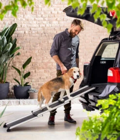 Dehner Premium Hunderampe Stairway, Ca. B161/T42 Cm -Natur Garten Verkauf 4117057 WE MO 001 DehnerHunderampeStairway