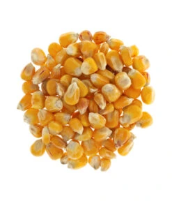 Dehner Körnermais, 2,5 Kg 5 Dehner Körnermais, 2,5 Kg -Natur Garten Verkauf 414078 BildD 001 DehnerKoernermaisKoernermais25Kg