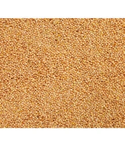 Dehner Silberhirse, 1 Kg -Natur Garten Verkauf 415356 BildD 001 DehnerQualitaetsfutterSilberhirseSilberhirse1Kg