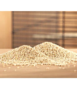 Dehner Silberhirse, 1 Kg -Natur Garten Verkauf 415356 BildM 001 DehnerQualitaetsfutterSilberhirseSilberhirse1Kg