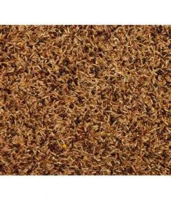 Dehner Feinsämereien, 500 G -Natur Garten Verkauf 415513 BildD 001 DehnerQualitaetsfutterFeinsaemereienFeinsaemereien500G