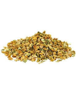 Dehner Wild Nature BARF-Ergänzungsfutter Für Hunde Zucchiniwürfel -Natur Garten Verkauf 4215984 WE D 001 DehnerWildNatureZucchinnnnnniwuerfel