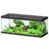 Dehner Aqua Premium Aquarium-Set ProLine 100, Schwarz, 160 L, Ca. B100/H40/T40 Cm -Natur Garten Verkauf 4277224 WE FS 001 DehneAquaPremiumProLine100