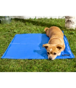 Dehner Lieblinge Kühlmatte Refresh, Blau -Natur Garten Verkauf 4292934 WE M 003 DehnerMatteRefresh60x50blau