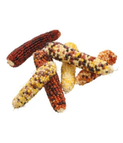 Dehner Nagersnack Mini-Popcorn Für Vögel Und Nager, 170g 5 Dehner Nagersnack Mini-Popcorn Für Vögel Und Nager, 170g -Natur Garten Verkauf 4319976 WE D 001 DehnerMarkenqualitaetMiniPopcornVogelNager