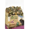 Dehner Best Nature Chinchillafutter, 2 Kg -Natur Garten Verkauf 4398319 WE FS 001 DehnerBestNatureNagerfutterChinchillaMix2kg
