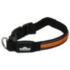Dehner LED-Hundehalsband Flash Collar, Orange -Natur Garten Verkauf 4466496 WE FS 001 DehnerHBLeuchthalsband