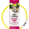 Dehner Lieblinge Leuchtring Flash Ring 1 Dehner Lieblinge Leuchtring Flash Ring -Natur Garten Verkauf 4468328 WE FS 001 DehnerLieblingeLeuchtringFlashRingGelb