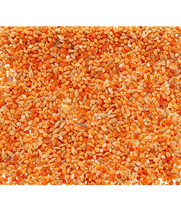 Dehner Leckerbissen Für Sittiche Und Exoten, 20 G 4 Dehner Leckerbissen Für Sittiche Und Exoten, 20 G – Bild 2