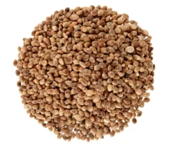 Dehner Natura Wildvogelfutter, Hanfsaat, 2.5 Kg 7 Dehner Natura Wildvogelfutter, Hanfsaat, 2.5 Kg -Natur Garten Verkauf 511ef54ff8a736e039f4056643d9df32