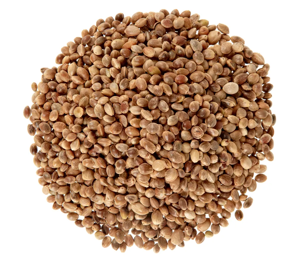 Dehner Natura Wildvogelfutter, Hanfsaat, 2.5 Kg 5 Dehner Natura Wildvogelfutter, Hanfsaat, 2.5 Kg – Bild 3