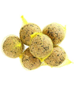 Dehner Natura Riesen-Meisen-Knödel -Natur Garten Verkauf 5450465 WE D 001 DehnerNaturaRiesenMeisenKnoedel6Stueck