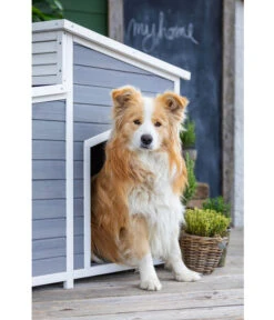 Dehner Lieblinge Hundehütte Balu, Ca. B128/H91/T88,5 Cm 12 Dehner Lieblinge Hundehütte Balu, Ca. B128/H91/T88,5 Cm -Natur Garten Verkauf 6607295 WE MO 003 DehnerLieblingeHundehausBalu
