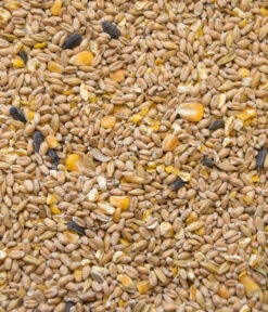 Dehner Best Nature Hühnerfutter Bio Hennenkorn -Natur Garten Verkauf 6730253 WE D 001 BNHuehnerfutterHennenkorn2kg