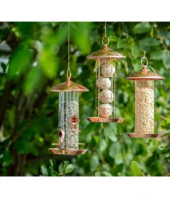 Dehner Natura Futtersäule Manon -Natur Garten Verkauf 6733745 6735765 6735773 WE M 001 NaturaKupferFutteraeule 1