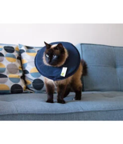 Dehner Lieblinge Leckschutzkragen Für Hunde & Katzen -Natur Garten Verkauf 6813794 WE MO 001 DLTiergesundheitLeckschutzkragenXSneu