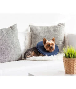 Dehner Lieblinge Leckschutzkragen Für Hunde & Katzen -Natur Garten Verkauf 6813794 WE MO 002 DLTiergesundheitLeckschutzkragenXSneu