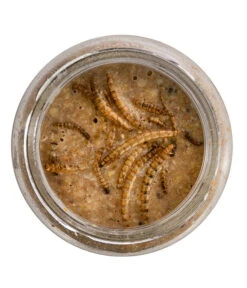 Dehner Natura Erdnussbutter Im Glas, Mehlwürmer, 8 X 340 G 9 Dehner Natura Erdnussbutter Im Glas, Mehlwürmer, 8 X 340 G -Natur Garten Verkauf 6846935 WE DE 001 NaturaWildvogelErdnussbutterGlas340g