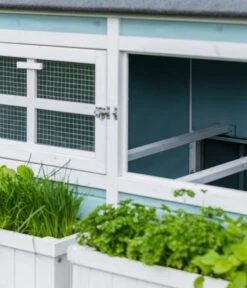 Dehner Hühnerstall Happy Farm Agata, Blau, Ca. B173,5/H149/T130,2 Cm -Natur Garten Verkauf 6873392 WE DE 004 MQ Huehnerstallataisolierthellblau