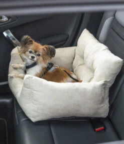 Dehner Lieblinge Reisebett Dream Team, Beige, Ca. B54/H34/T50 Cm 10 Dehner Lieblinge Reisebett Dream Team, Beige, Ca. B54/H34/T50 Cm -Natur Garten Verkauf 6909790 WE MO 002 DehnerLieblingeTransportsofa