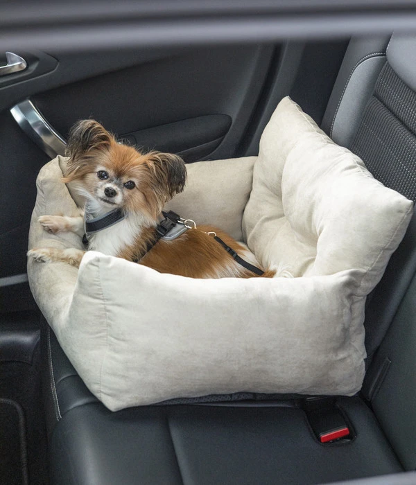 Dehner Lieblinge Reisebett Dream Team, Beige, Ca. B54/H34/T50 Cm 5 Dehner Lieblinge Reisebett Dream Team, Beige, Ca. B54/H34/T50 Cm – Bild 3