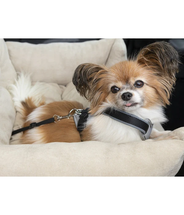 Dehner Lieblinge Reisebett Dream Team, Beige, Ca. B54/H34/T50 Cm 6 Dehner Lieblinge Reisebett Dream Team, Beige, Ca. B54/H34/T50 Cm – Bild 4