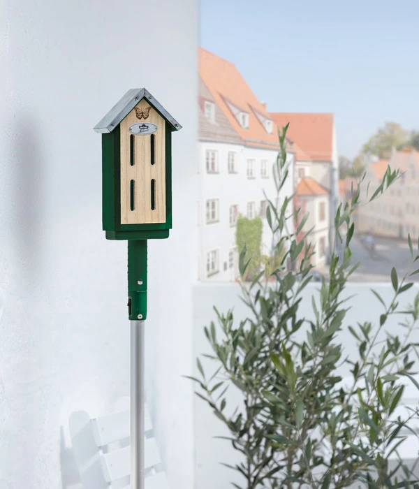Dehner Natura Schmetterlingshaus CLiCK, Ca. B12,5/H22,5/T8,5 Cm 5 Dehner Natura Schmetterlingshaus CLiCK, Ca. B12,5/H22,5/T8,5 Cm – Bild 3