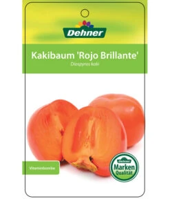 Dehner Kaki 'Rojo Brillante' - Kaki-Pflaume 'Rojo Brillante' 14 Dehner Kaki 'Rojo Brillante' - Kaki-Pflaume 'Rojo Brillante' -Natur Garten Verkauf 7167414 KakiRojoBrillante Etikett 01