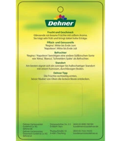 Kirschen-Duo 'Regina/Napoleon' -Natur Garten Verkauf 7738792 Suesskirschen DuoReginaNapoleon Etikett 2