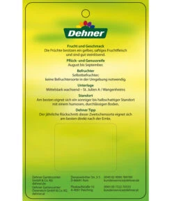 Zwetschge 'Kulinaria-Toptaste' 9 Zwetschge 'Kulinaria-Toptaste' -Natur Garten Verkauf 7763881 ZwetscheKulinariaToptaste Etikett 2