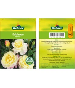 Edelrosen-Mix 'Nostalgie®' -Natur Garten Verkauf 7800063 AquarellEdelrose Etikett1