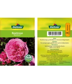 Edelrosen-Mix 'Nostalgie®' -Natur Garten Verkauf 7800063 BaronesseBeetrose Etikett1