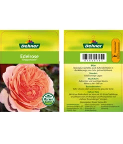 Edelrosen-Mix 'Nostalgie®' -Natur Garten Verkauf 7800063 ChippendaleEdelrose Etikett1