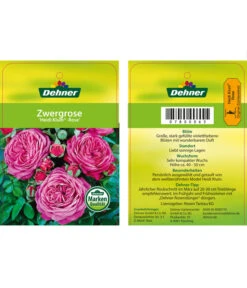 Edelrosen-Mix 'Nostalgie®' -Natur Garten Verkauf 7800063 HeidiKlumZwergrose Etikett1