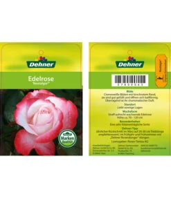 Edelrosen-Mix 'Nostalgie®' -Natur Garten Verkauf 7800063 NostalgieEdelrose Etikett1