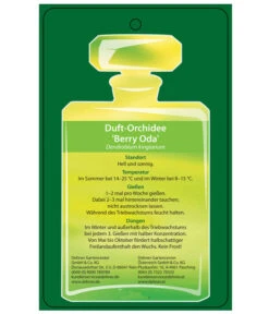Duft-Traubenorchidee - Dendrobium Kingianum 'Berry' -Natur Garten Verkauf 8250714 DuftorchideeBeryyOdaEtikett2