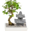 Bonsai Mit Buddha/Pagode, Verschiedene Sorten -Natur Garten Verkauf 8686669 PR FS 001 BonsaiMixMitBuddhaPagodeT18DehnerExpressHerzig