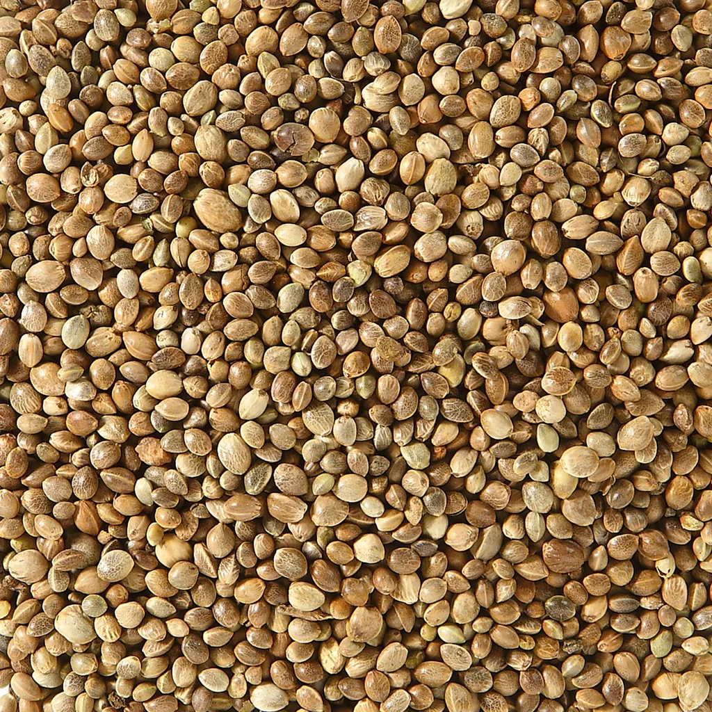 Dehner Natura Wildvogelfutter, Hanfsaat, 2.5 Kg 4 Dehner Natura Wildvogelfutter, Hanfsaat, 2.5 Kg – Bild 2