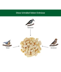 Dehner Natura Futter-Stangen Erdnusskerne -Natur Garten Verkauf WE IG 001 DehnerNaturaWelcherVogelfrisstErdnuesse