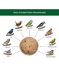 Dehner Natura Wildvogelfutter Meisen-Knödel, Ohne Netz, 2 X 100 Stk. Je 100 G -Natur Garten Verkauf WE IG 001 DehnerNaturaWelcherVogelfrisstMeisenknoedel 4