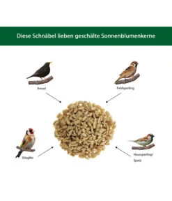 Dehner Natura Futter-Stangen Sonnenblumenkerne -Natur Garten Verkauf WE IG 001 DehnerNaturaWelcherVogelfrisstgeschaelteSonnenblumenkerne