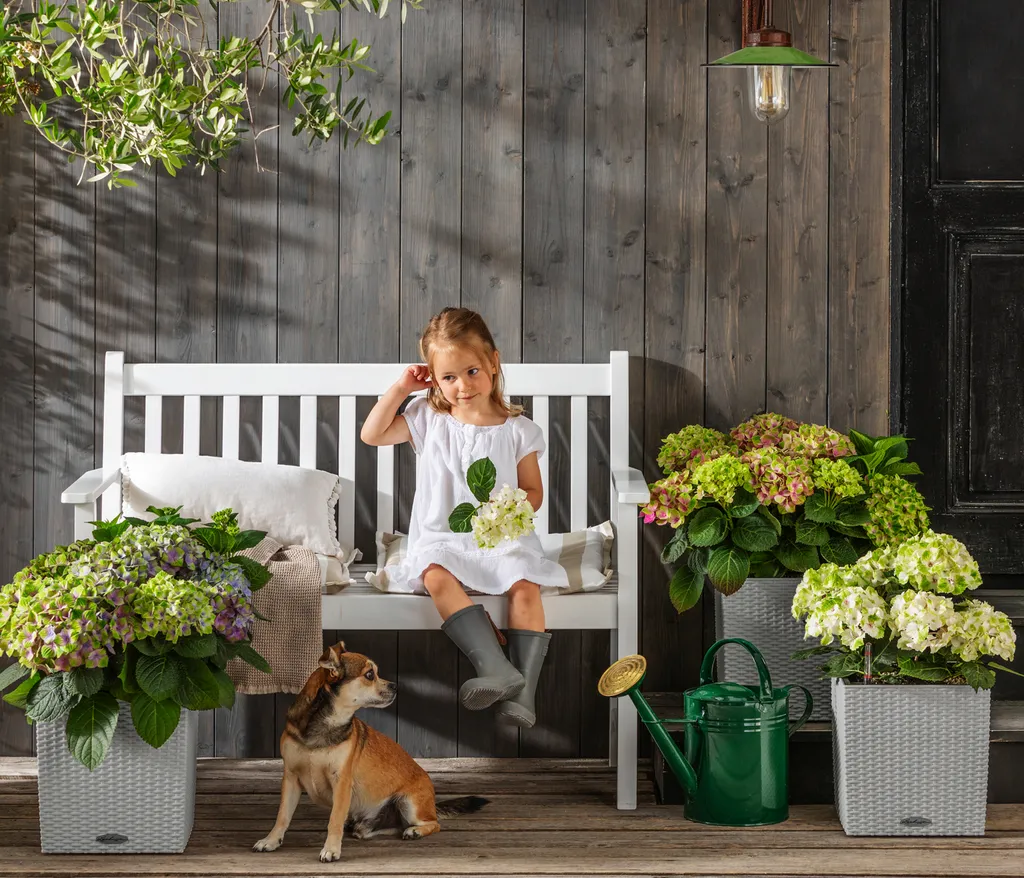 Dehner Gartenbank Mykonos, 2-Sitzer, Ca. 120 X 89 X 61 Cm, FSC® Akazienholz, Weiß 8 Dehner Gartenbank Mykonos, 2-Sitzer, Ca. 120 X 89 X 61 Cm, FSC® Akazienholz, Weiß – Bild 6