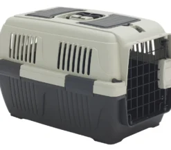 Dehner Lieblinge Transportbox Dino, Zufälliger Versand Der Farbkombination, 57 X 37 X 35 Cm, Kunststoff, Dunkelgrau/dunkelgrün